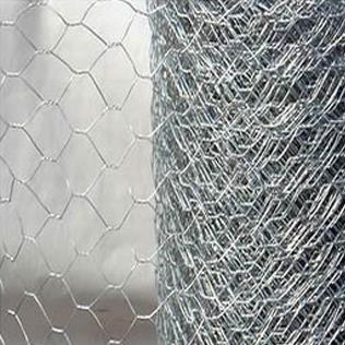 Chicken/Rabbit Wire 1050 x 31 x 1