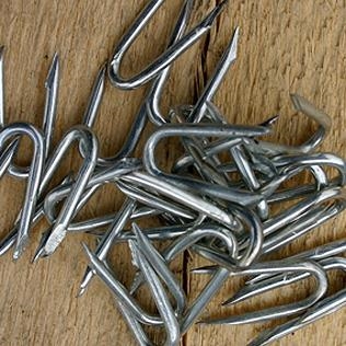 Galv Staples(Wire Nett) 20mm x 1Kg